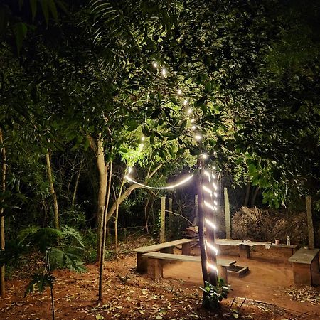 Nebula Nest Cafe & Hostel Auroville Exterior foto