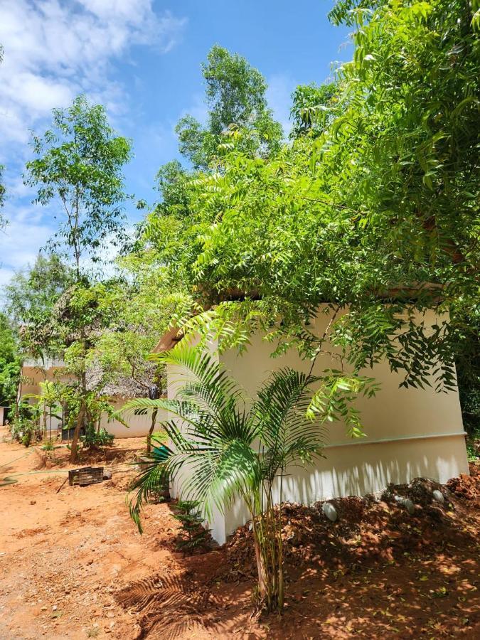 Nebula Nest Cafe & Hostel Auroville Exterior foto