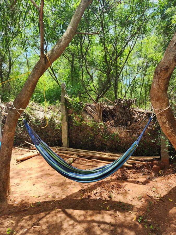 Nebula Nest Cafe & Hostel Auroville Exterior foto