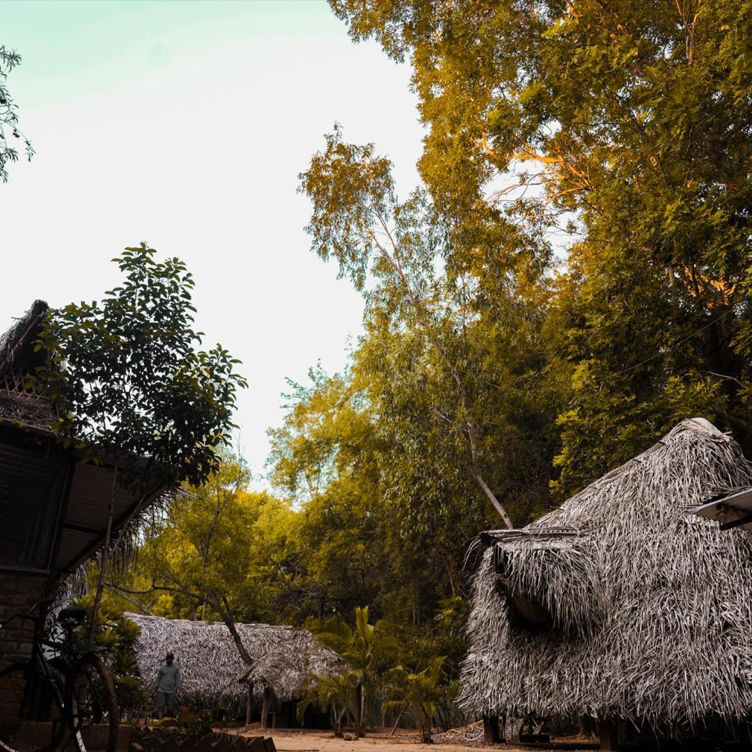 Nebula Nest Cafe & Hostel Auroville Exterior foto