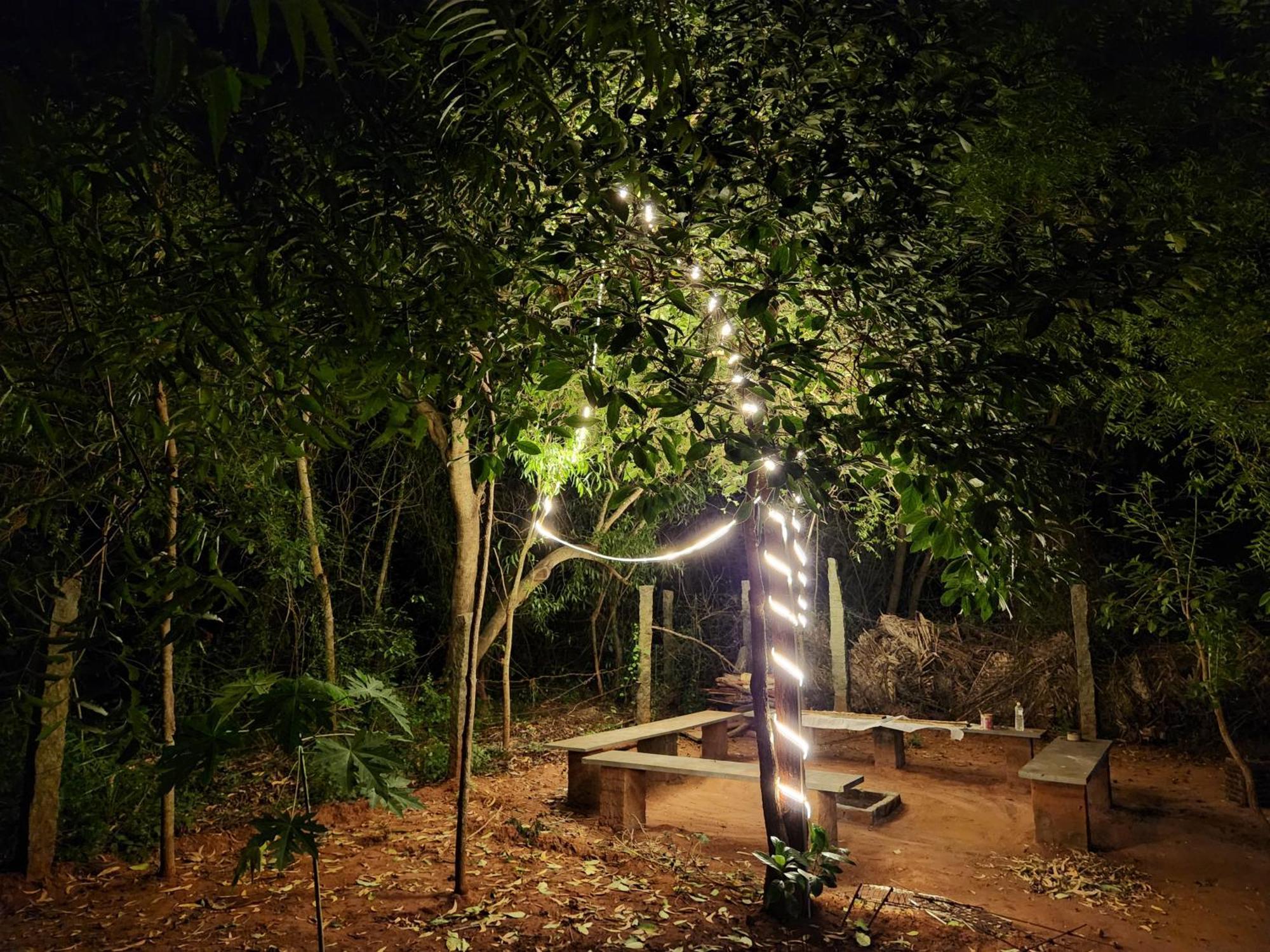 Nebula Nest Cafe & Hostel Auroville Exterior foto